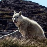 839-Ilulissat.jpg