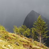 867-Küstenfahrt-von-Loding-nach-Ornes,-Norwegen,-Skandinavienreise-2018-.jpg
