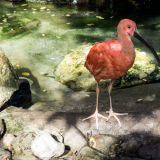 04-Zoo-Oktober-2022.jpg