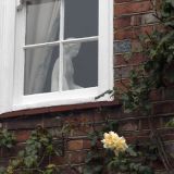 076-Rye.jpg