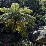 1168-Parque-de-Monteserrate-(Sintra),-Portugal-2017.jpg