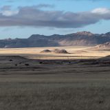 203-zurück-nach-Aus,,Namibia-Juni-Juli-2025.jpg