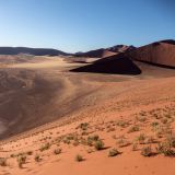258--Sossuvlei,-Namibia-Juni-Juli-2025.jpg