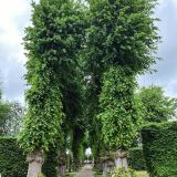 455-Schloss-Egeskov-Dänemarkreise-Mai-Juni-.2026.jpg