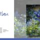 Blumen-Farbkreis-Doppel-5.jpg