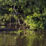 193-Bootsfahrt-Aninga-Lodge.jpg