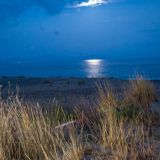 304-Takis-Taverne-Mani-Beach-Camping-Gythio-Peloponnes,--Griechenland-Sept.-2023-Kopie.jpg