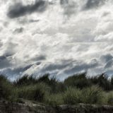 374-Ostküste-bei-Beadnell,-England-2016.jpg