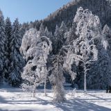 039-Ammer-Ogau-Feb.-2019.jpg