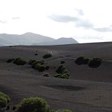 146-Feuerberge-Lanzarote-Nov.-2016.jpg