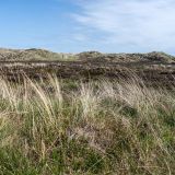 209-Radtour-bei-Hvide-Sande,-Dänemarkreise-Mai-Juni-.2026.jpg