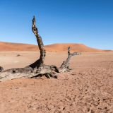 279--Sossuvlei,-Namibia-Juni-Juli-2025.jpg