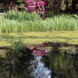 282-Bodnant-Gardens-bei-Conwy-England-2019.jpg
