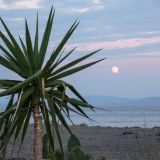 303-Takis-Taverne-Mani-Beach-Camping-Gythio-Peloponnes,--Griechenland-Sept.-2023-Kopie.jpg