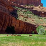 483-Canyon-de-Chelly.jpg