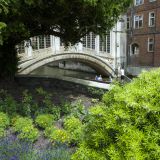 541-Cambridge,-St.-John's-College-England-2016.jpg