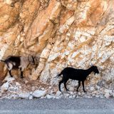 551-Küstenstraße-Lefkada-Astakos,-Griechenlandreise-1.Sept-15.Okt-2019.jpg