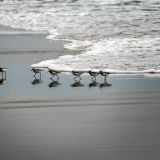 705-Costa-de-la-Luz.jpg