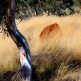 0484-Karijini-.jpg