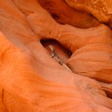 086-Lake-Mead-Valley-of-Fire-jpg.jpg