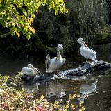 14-Zoo-Oktober-2022.jpg