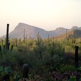 163-Tucson.jpg