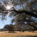 654-Okapuka-Safari-Lodge-Namibia-Juni-Juli-2025.jpg