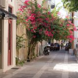 655-Nafplion,-Griechenlandreise-1.Sept-15.Okt-2019.jpg