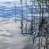 03-Seeshaupt-Aug-2017.jpg