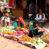 0593-Bundi.jpg