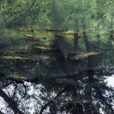 085-Monasterio-de-Piedra.jpg