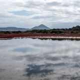 1008-Lagune,-Gialova,--Griechenlandreise-1.Sept-15.Okt-2019.jpg