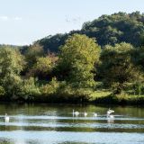 117-beim-Camping-Igel-an-der-Mosel-Deutschlandreise-September-2020-.jpg