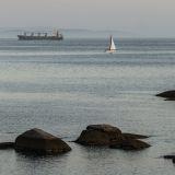 1454-Palmeira-(Riveira)-Nw-Kueste.jpg