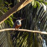 201-Bootsfahrt-Aninga-Lodge.jpg