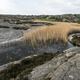 216-Kungshomn,-Schweden-Skandinavienreise-2018-.jpg