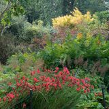 317-Lanhydrock-Garden,-England-September-2024.jpg