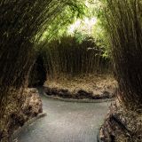 416-Alnwick-Gardens,-England-2016.jpg