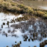500-Acherondos-Delta,-unterwegs-nach-Lefkada,-Griechenlandreise-1.Sept-15.Okt-2019.jpg