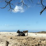 648-Fahrt-nach-Puntarenas.jpg