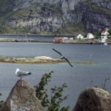 902-Moskenes-Richtung-Ramberg,-Lofoten,-Norwegen,-Skandinavienreise-2018-.jpg