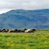 041-2-Richtung-Snaefaellness.jpg