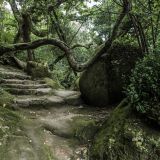 1190-Convento-de-Capuchos,-Portugal-2017.jpg
