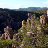 198-Chiricahua-Mountains.jpg
