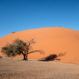 264--Sossuvlei,-Namibia-Juni-Juli-2025.jpg