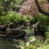 273-Bodnant-Gardens-bei-Conwy-England-2019.jpg