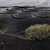 284-la-Geria-Lanzarote-Nov.-2016.jpg