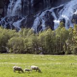 311-unterwegs-nach-Ringoy,-Norwegen,-Skandinavienreise-2018-.jpg