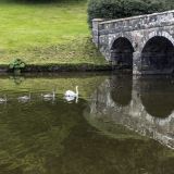 617-Stourhead-Gardens.jpg