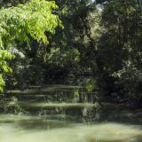 97-2-Parque-de-Cahuita.jpg